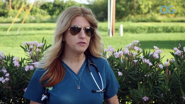 Tracy's Rescue Mission to Save Dogs in South Texas Shelters (A Dog's Journey Home)