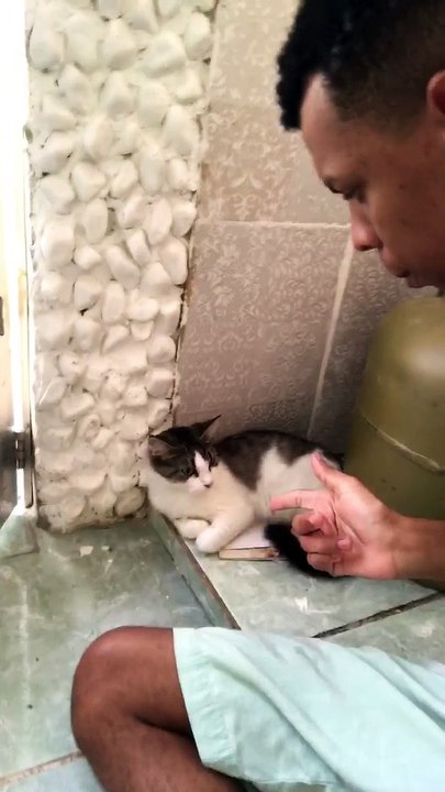 Cat and Owner Singing Duet