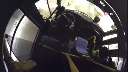 Şoförün, Yaya Geçidinde Bekleyen Köpeğe Yol Vermesi Kamerada