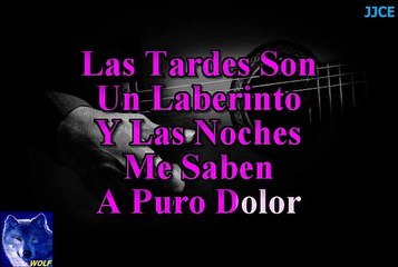 karaoke  A Puro Dolor  Son By Four