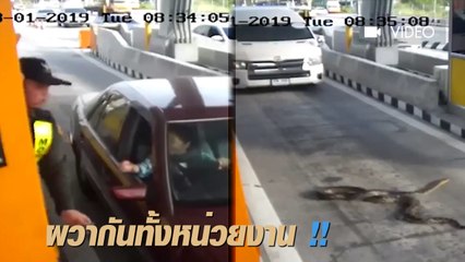 เจอแล้ว...ต้นเหตุ !! ใครมาปล่อยสัตว์เลี้ยงไว้ จุดชำระค่าผ่านทาง บนทางด่วนแห่งหนึ่ง