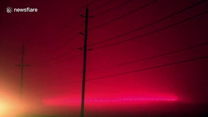 Light pollution from greenhouses turn Ontario skies a fiery red