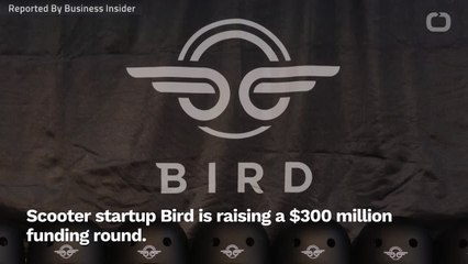 Bird Reportedly Raising $300 Million From Fidelity