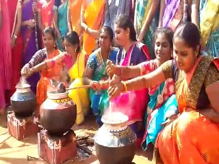 கோவை கல்லூரி மாணவிகளின் கலக்கல் பொங்கல் விழா-வீடியோ