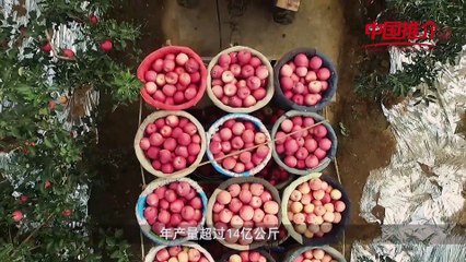 China-Recommendation: The Gorgeous Lingbao