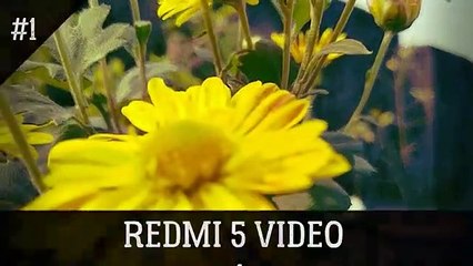 DSLR LIKE VIDEO - Redmi 5 (short video test)