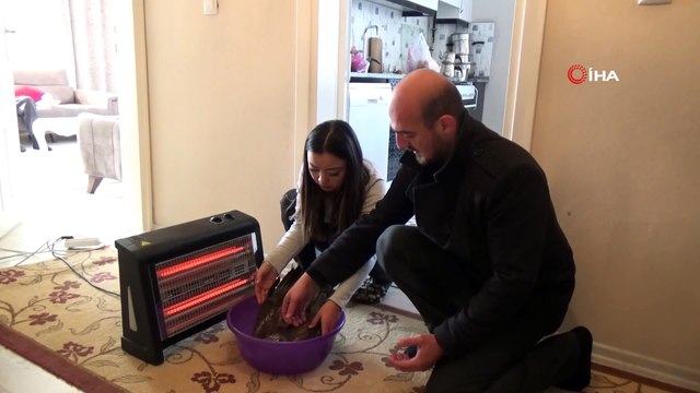 Donmak üzere olan yaralı şahine vatandaş sahip çıktı