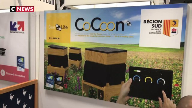 CES 2019 : Une ruche connectée qui protège les abeilles