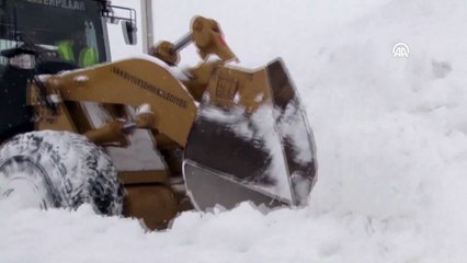 Karla mücadele çalışmaları - VAN