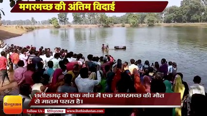 130-years-old crocodile dies in Chhattisgarh | मगरमच्छ की अंतिम विदाई