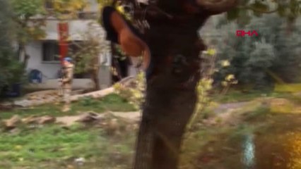 Mersin'de 4 Tefecilik Şüphelisi Tutuklandı