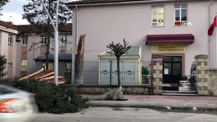 Akyazı’da fırtına ağaçları devirdi, çatıları uçurdu