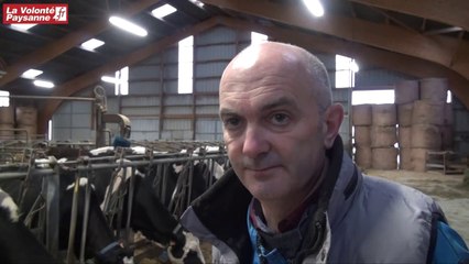 Betterave fourragère et qualité du lait de vache