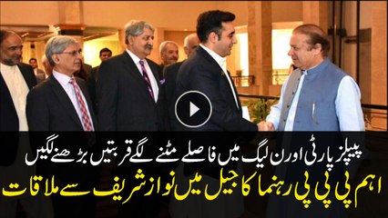 PPP leader meets Nawaz Sharif in Jail
