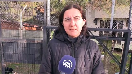 Kedilerin 'villa'da soba keyfi - BURSA