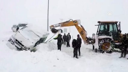 Karla mücadele çalışmaları (2) - VAN