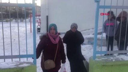 Haymana'da Sokak Köpeklerinin Saldırısı Sonrası Öğrenciler Okula Sopa ile Gidiyor