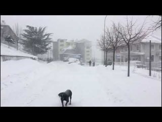 Pa Koment - Në Fushë Arrëz, bora mbi 1 metër - Top Channel Albania - News - Lajme