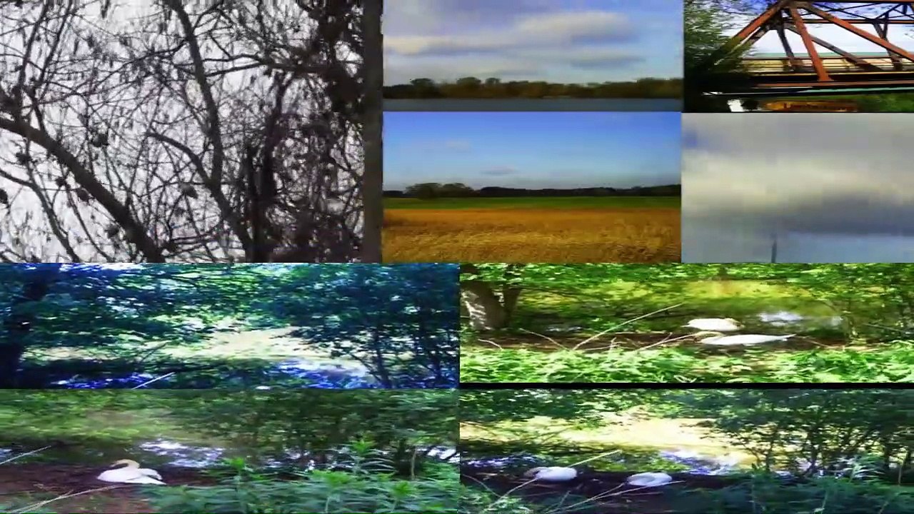 Wird der US – Präsident Trump von der Press vorgeführt Es ist ein Fehler, dass man Trump Pathologisiert!