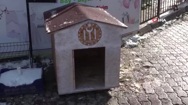 Sıfır Atık Projesi ile Yapılan Yemlikler ve Hayvan Kulübeleri Sayesinde Sokak Hayvanları Rahat...