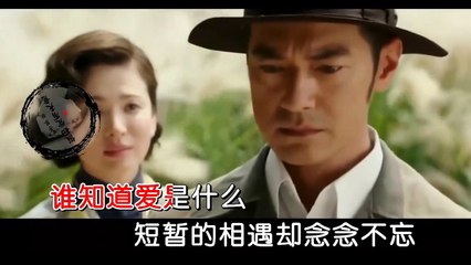 假如爱有天意  by 芳蓼歌