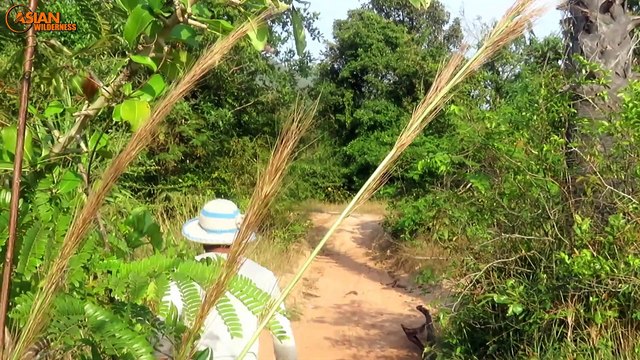Primitive Boy Saves Family Goose From Python Attack - Python Stalks Goose Nest At Canal