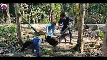 Must Watch New Funny Comedy Videos 2019 - Episode 32    Funny Ki Vines