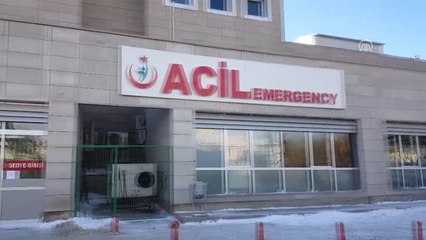 Köpeklerin Saldırdığı Kadın Yaralandı (2)