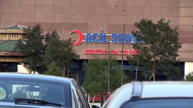 Başıboş köpeklerin saldırdığı çocuk yaralandı - MARDİN