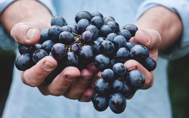 Surprising Foods That May Halt Your Resolution