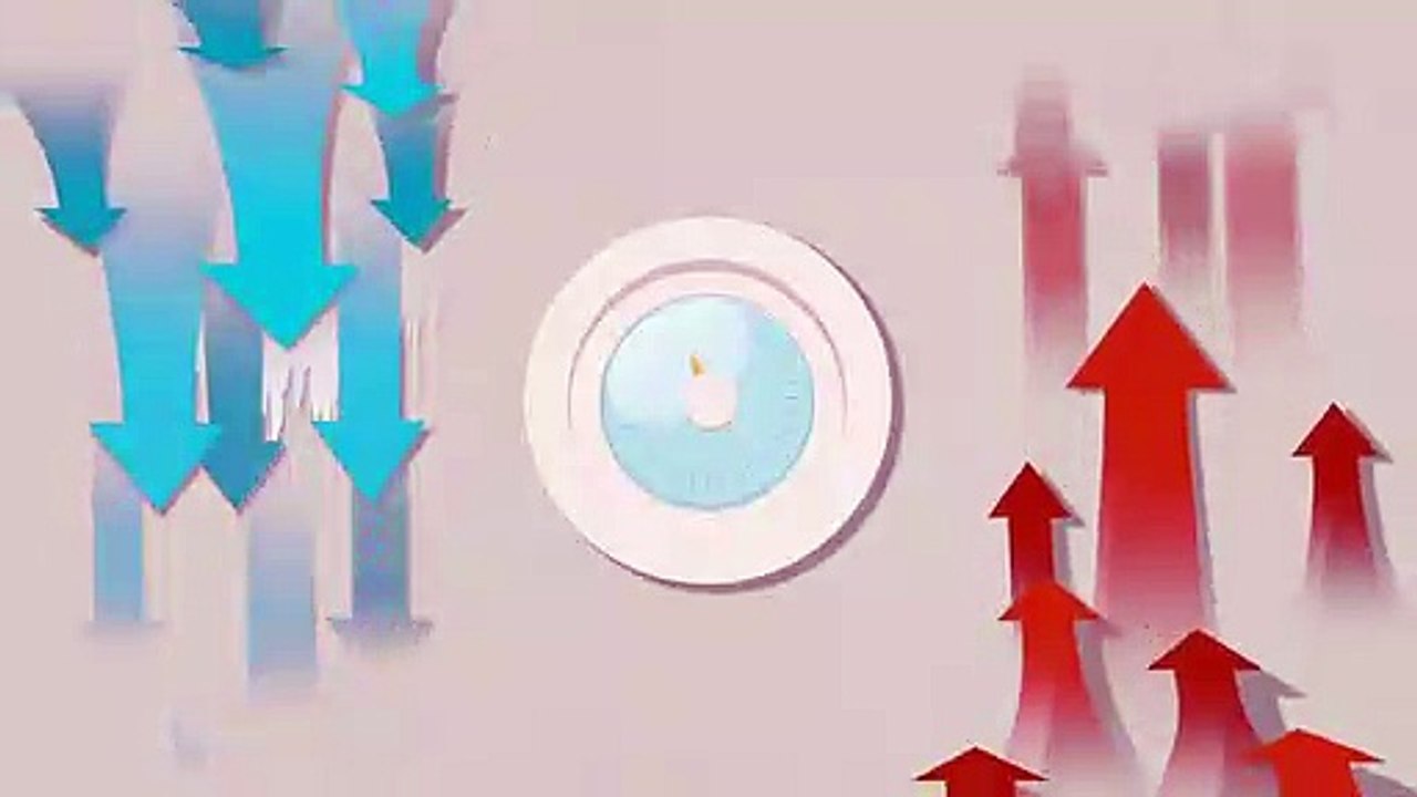 B2C Video for Product Promotion