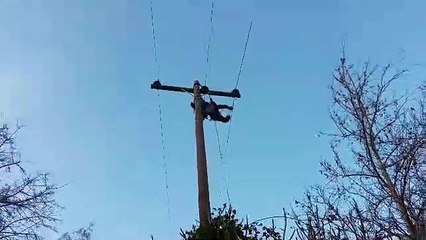 Εναερίτης της  ΔΕΗ για αποκατάσταση βλάβης