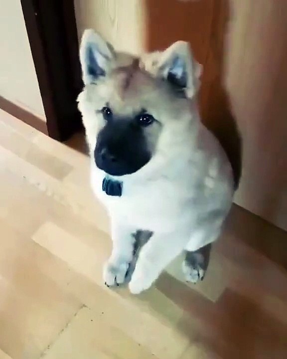 Tappy taps!
