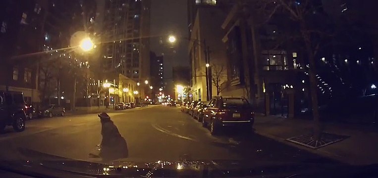 Ce conducteur fait demi tour pour aider une vielle dame tombée sur la route !