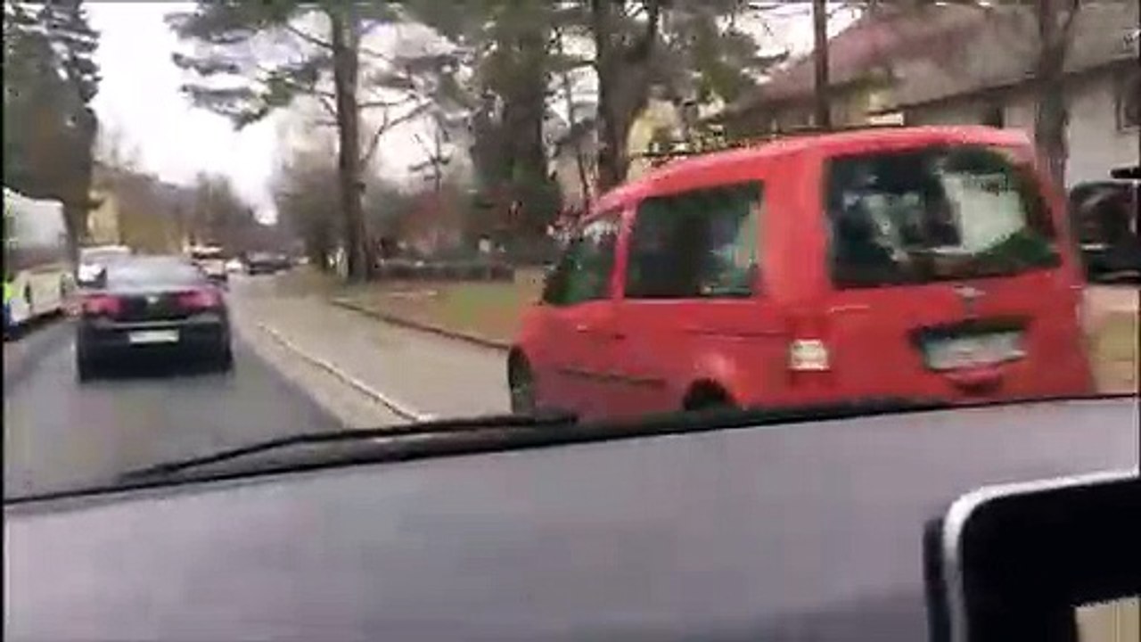 Quand tu croises une meute de sangliers en pleine ville