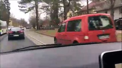 Quand tu croises une meute de sangliers en pleine ville