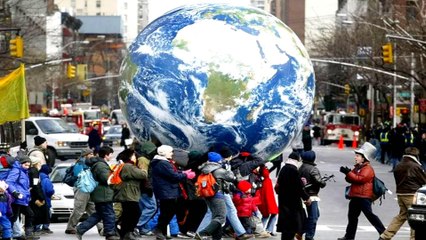 Alarming study shows most of Earth's land critically endangered