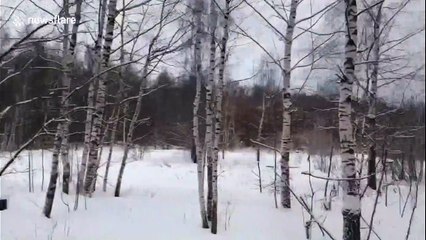 Russian civilian takes mysteriously-acquired tank for holiday drive in park