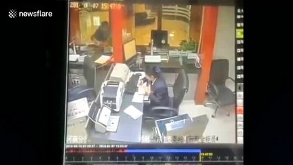 Bank staff terrified by cat randomly falling from the ceiling