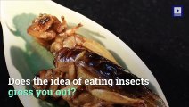 Eating Insects Could Save the Planet