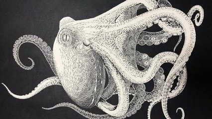 Watch: This beautiful octopus was cut out of a single piece of paper