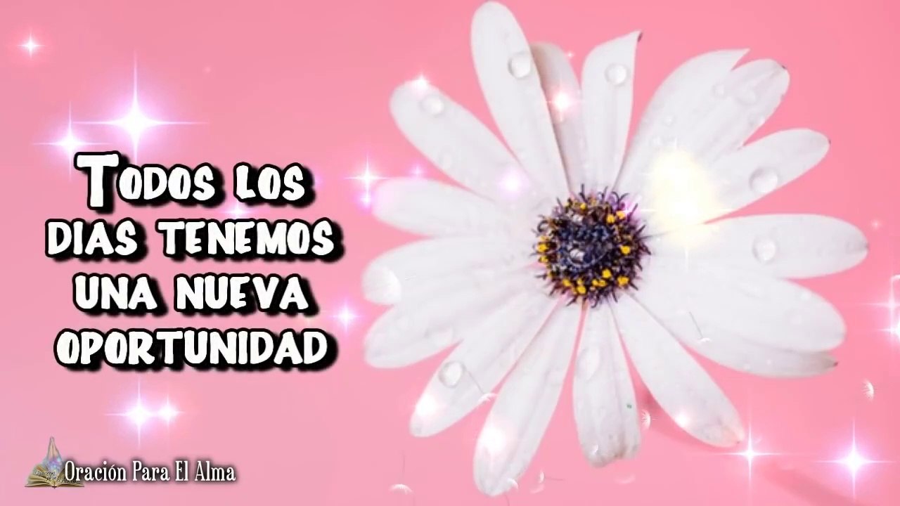 Feliz Viernes ✨Para ti este bello mensaje de buenos dias Te deseo un feliz y bendecido  Abrelo