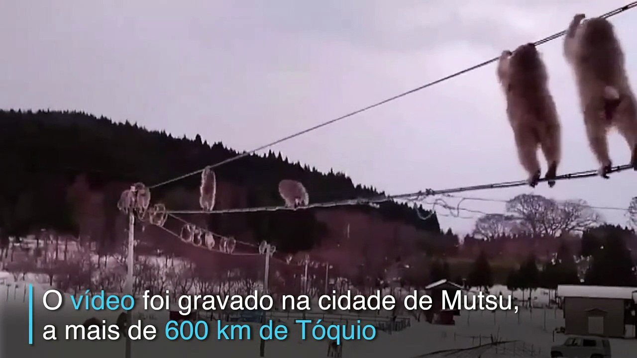 A arte do equilíbrio
