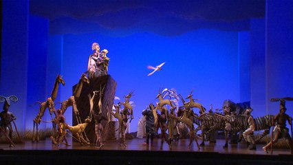 전 세계 흥행 뮤지컬 1위 '라이온 킹', 서울에 왔다 / YTN