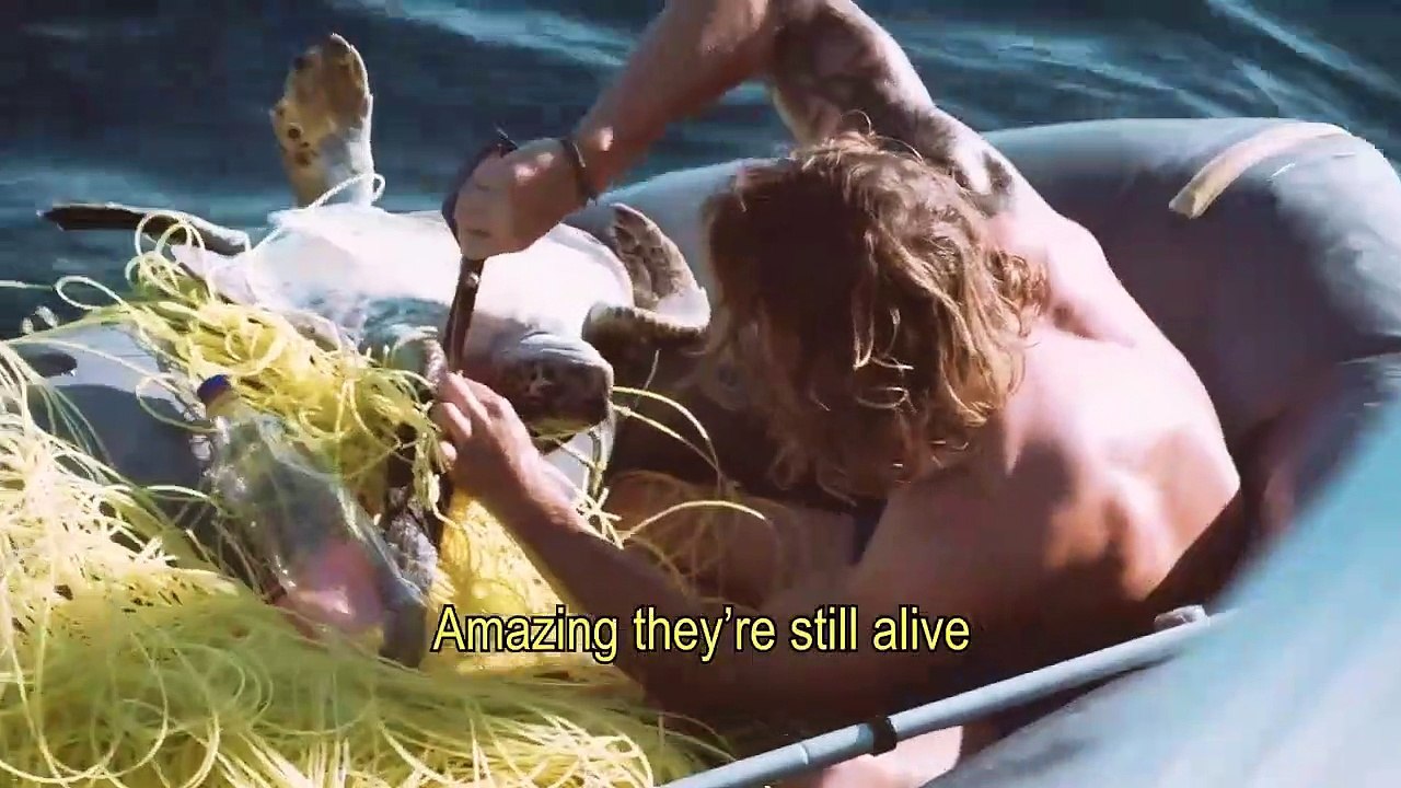 Il délivre quatre tortues piégées dans un filet de pêche. Beau geste