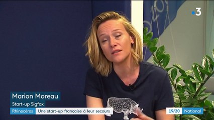 Rhinocéros : une start-up française à leur secours