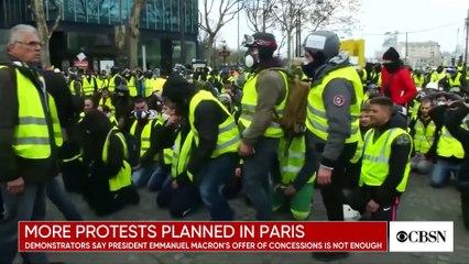 _Yellow Vest_ movement leaders say protests will continue despite Macron's concessions