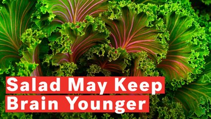 Eating Salad Keeps Brain 11 Years Younger