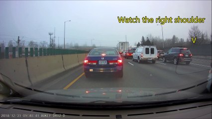 Rescuing a Runaway Dog from Busy Freeway