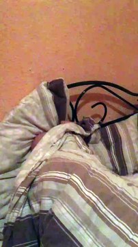 Rabye Bouden 2019 hhhhhh RADOUHA CAUCHEMAR EL BLED